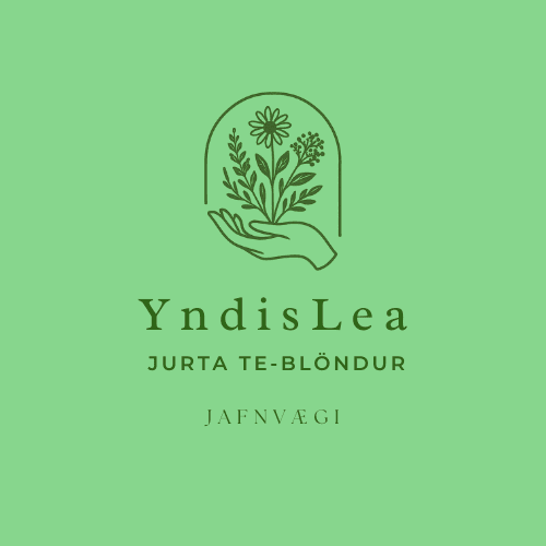JAFNVÆGI